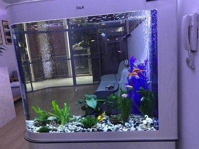 德國德克魚缸怎么樣 和彩蝶比呢