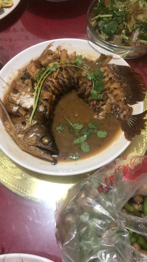 石家莊金龍魚做菜怎么樣呀