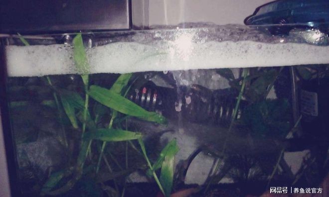 敘永縣怡情水族經營部（敘永縣怡情水族經營部地址）