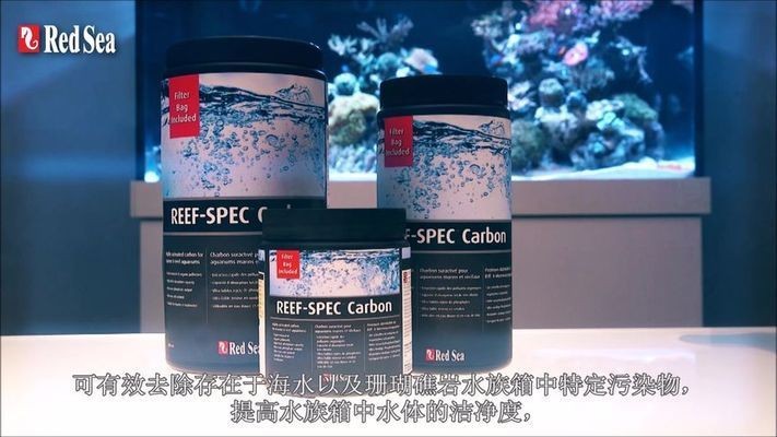 紅海魚缸的價值解析：紅海魚缸價格貴不貴？