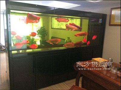 設(shè)計(jì)海鮮店魚缸設(shè)計(jì)建議：美觀又實(shí)用的海鮮魚缸設(shè)計(jì)：如何設(shè)計(jì)一個既美觀又實(shí)用的海鮮店魚缸
