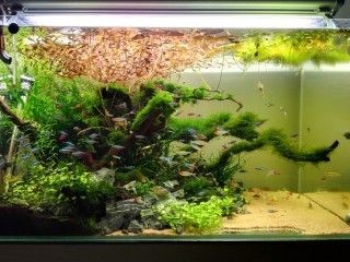 海爾芙拉魚缸的安裝視頻：海爾芙拉魚缸安裝教程