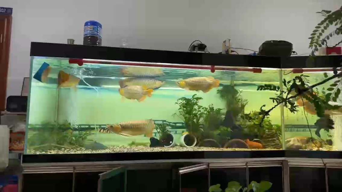 求百事之榮，不如免一事之辱；邀千人之歡，不如釋一人之怨。春有百花秋有月，夏有涼風冬有雪；若無閑事掛心頭，便是人間好時節。 左宗棠題于江蘇無錫梅園的詩句：“發上等愿，結中等緣，享下等福；擇高處立，尋平處住，向寬處行。”
