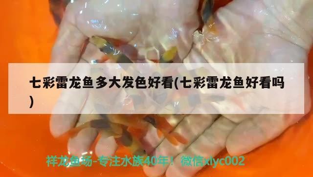 秦州區(qū)美之海水族館（秦州區(qū)美之海水族館電話）