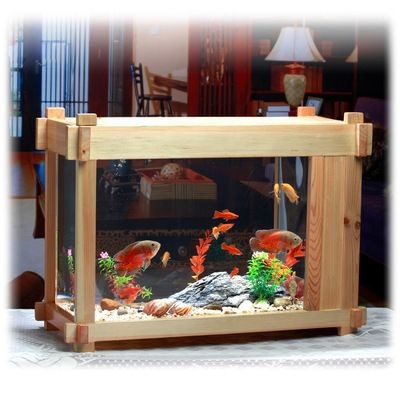 魚缸美術：ai繪畫軟件制作魚缸美術畫的色彩搭配建議魚缸美術