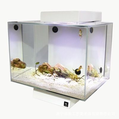 魚缸美術：ai繪畫軟件制作魚缸美術畫的色彩搭配建議魚缸美術