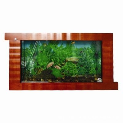 魚缸美術：ai繪畫軟件制作魚缸美術畫的色彩搭配建議魚缸美術