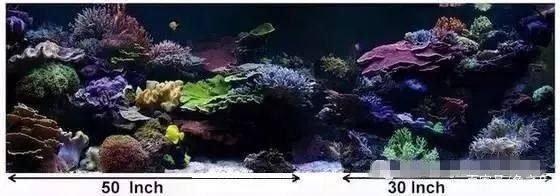 魚缸美術：ai繪畫軟件制作魚缸美術畫的色彩搭配建議魚缸美術