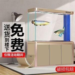 底濾魚缸換水的注意事項和注意事項和注意事項：底濾魚缸換水的具體步驟