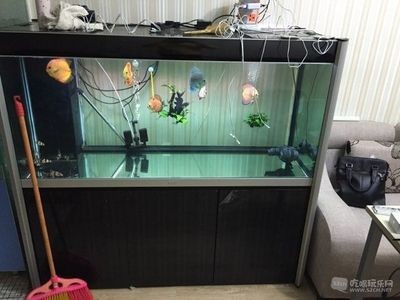 底濾魚缸換水的注意事項和注意事項和注意事項：底濾魚缸換水的具體步驟