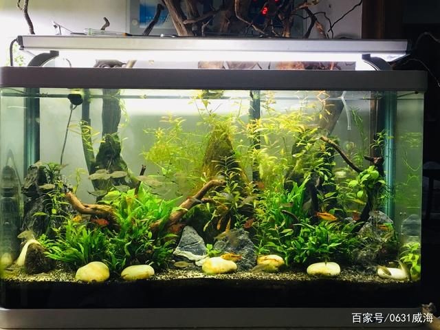 魚(yú)缸壞了怎么辦？：壞了的魚(yú)缸的處理方法