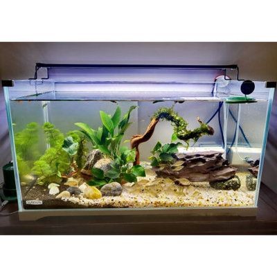 儷魚魚缸燈怎么樣：儷魚魚缸燈性價比分析儷魚魚缸燈性價比分析