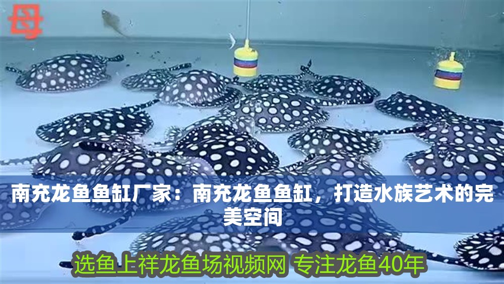 南充龍魚魚缸廠家：南充龍魚魚缸，打造水族藝術的完美空間