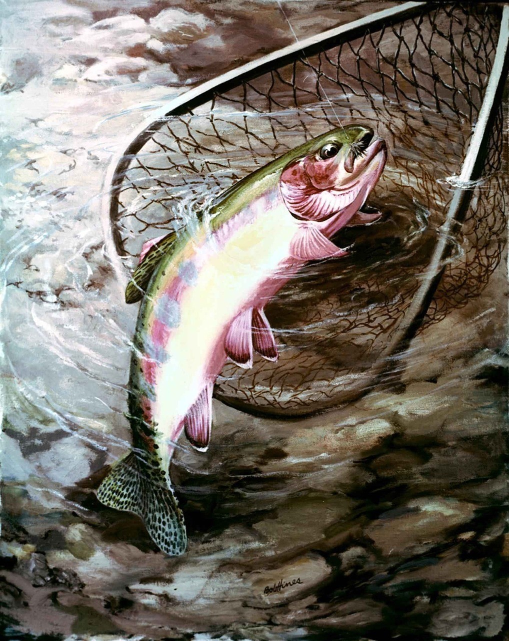 水鼻子是什么魚