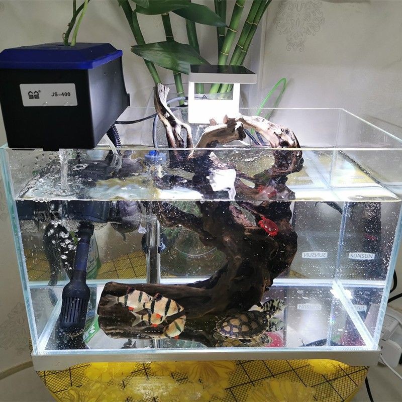 江彩魚缸和森森魚缸區別大嗎：江彩魚缸和森森魚缸哪個好