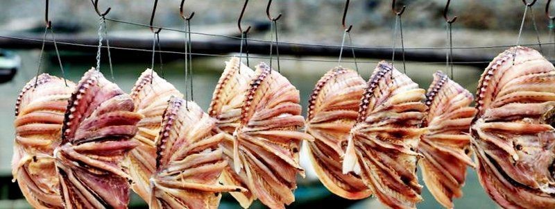 紅魚是什么魚