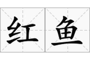紅魚是什么魚