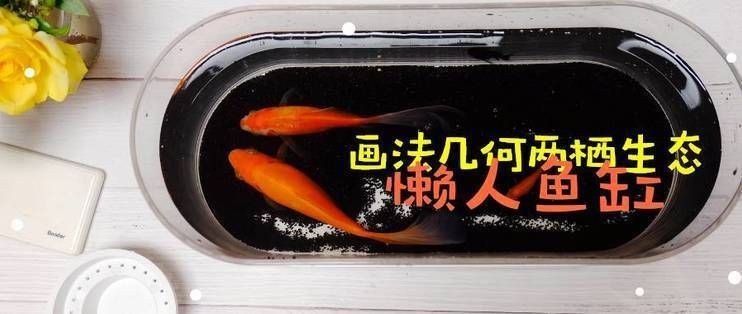 畫法幾何迷你懶人魚缸：畫法幾何迷你懶人魚缸畫法幾何迷你懶人魚缸