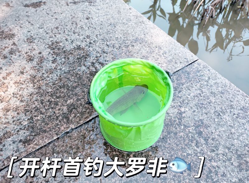 森森魚缸1.8米型號及價格 森森魚缸1.8米型號及價格 龍魚論壇 第8張