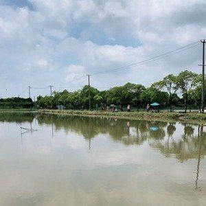 附近魚塘位置100米 附近魚塘位置100米 龍魚論壇 第2張