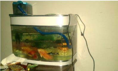 魚缸燈維修圖解維修視頻：如何維修魚缸燈
