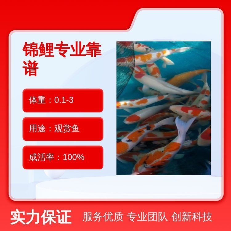 觀賞魚有人回收嗎