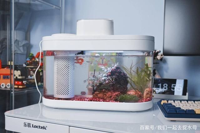 畫法幾何魚缸水泵不工作：畫法幾何魚缸水泵不工作可能由多種原因引起