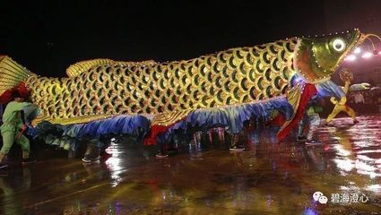 潮汕龍魚