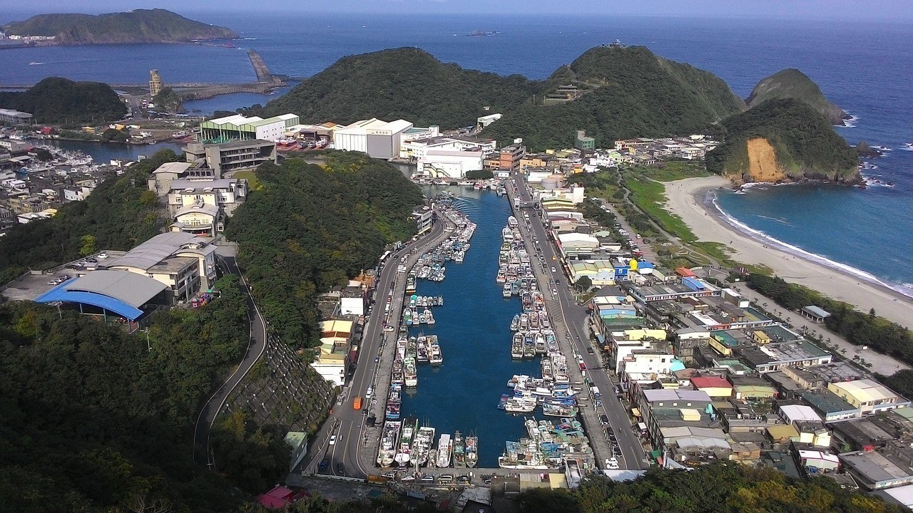 鳡魚多少錢一斤2025 鳡魚多少錢一斤2025 龍魚論壇 第1張