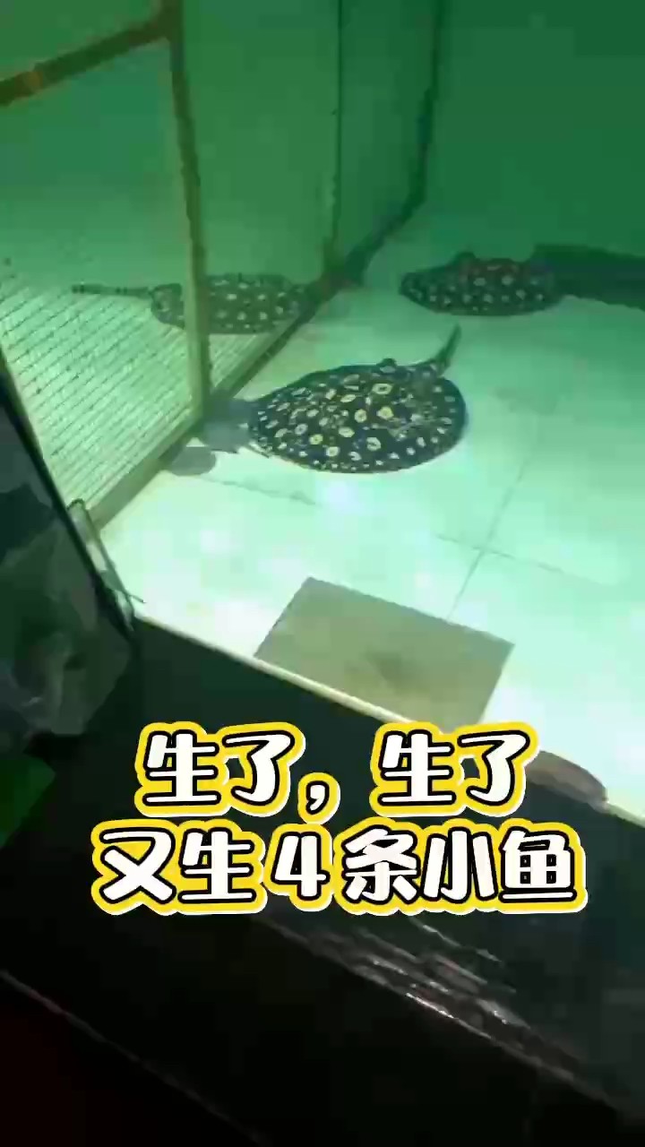 又可以撈小魚了????????????