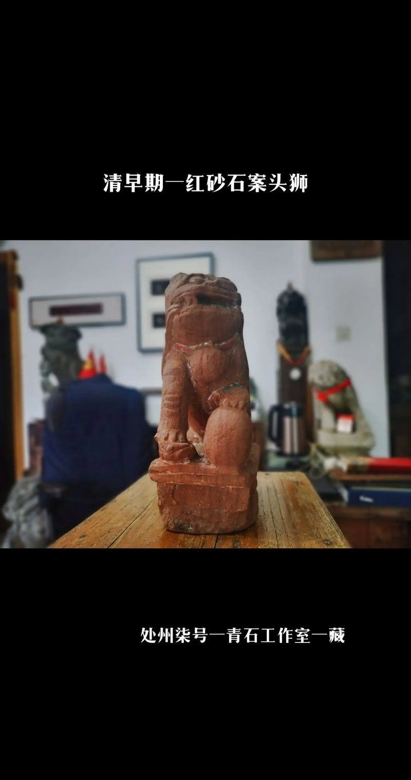 紅頭獅屬于什么檔次