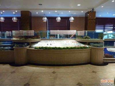 海鮮魚缸效果圖設(shè)計：海鮮魚缸效果圖提供了多種設(shè)計靈感和實用建議幫助您