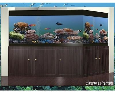 海鮮魚缸效果圖設(shè)計：海鮮魚缸效果圖提供了多種設(shè)計靈感和實用建議幫助您