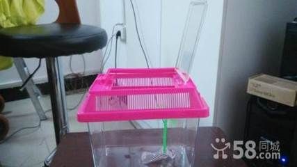 武漢漢陽區魚缸風水學在武漢市場西區停車場樓梯間4號：武漢漢陽區魚缸定制