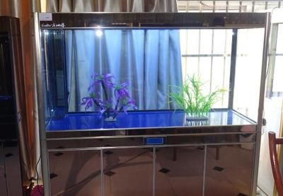 魚缸質量（亞克力魚缸適合經濟實惠的選擇亞克力魚缸適合經濟實惠的選擇）