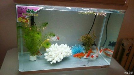 魚缸的缺點