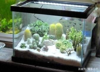 魚缸的缺點