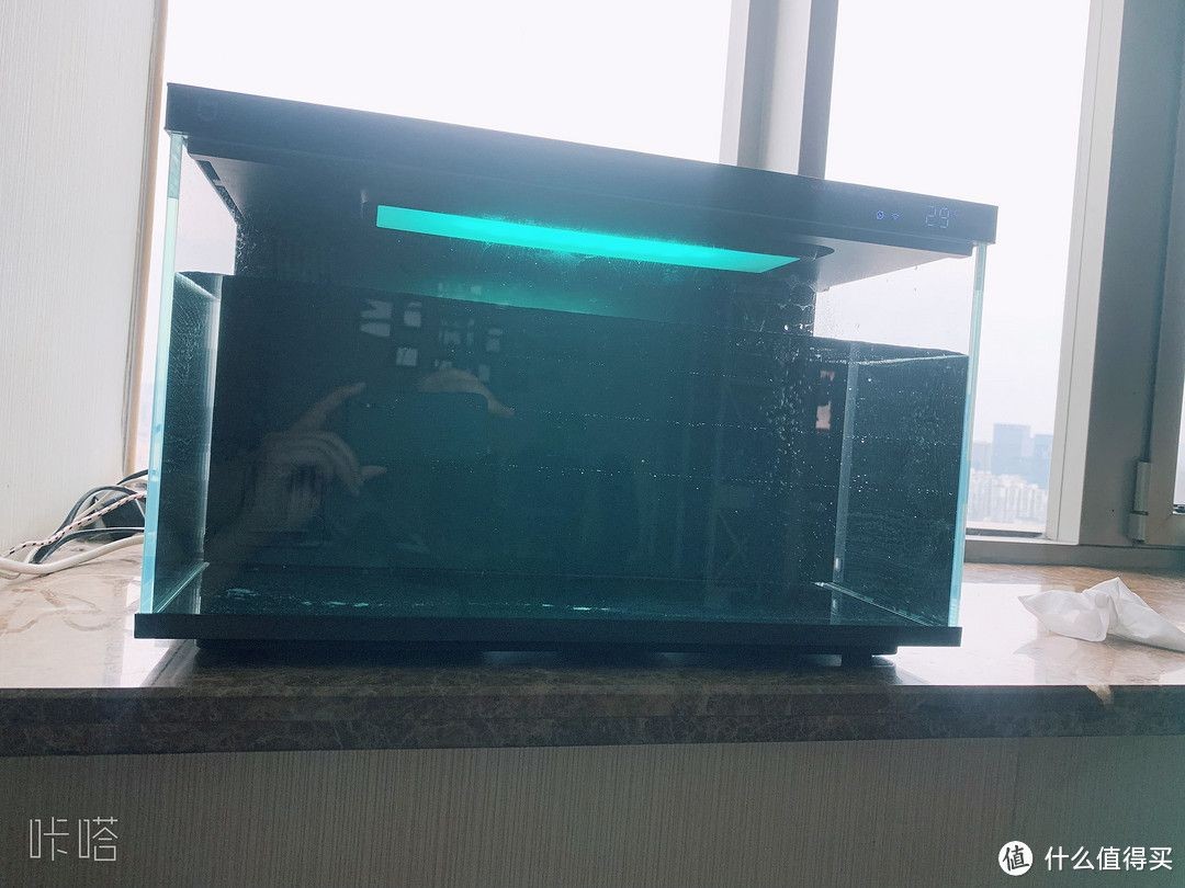 魚缸里的爸爸：我把爸爸養(yǎng)在魚缸里