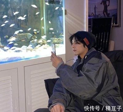 魚缸里的爸爸：我把爸爸養(yǎng)在魚缸里