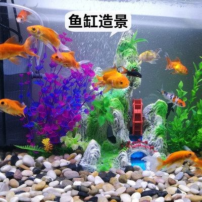 魚缸造景的藝術與科學魚缸造景不僅僅是一項技術活，更是一門藝術：關于鵝軟石魚缸造景圖的問題