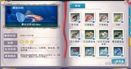 創造與魔法魚缸有什么用（《創造與魔法》魚缸材料高效獲取攻略魚缸材料高效獲取攻略）