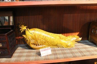 金龍魚價錢在什么價位最高：金龍魚價格在什么價位最高
