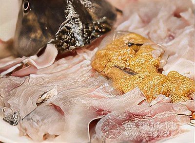 鯰魚為何盡量少吃