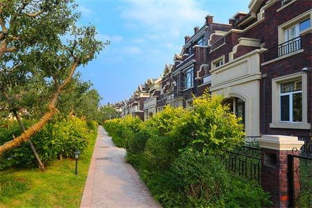夢魚缸魚死了什么預兆：周公解夢：夢見魚缸里的魚死亡預示著什么？