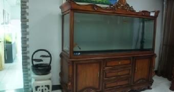 海納利爾魚缸的售后服務(wù)怎么樣：海納利爾魚缸售后服務(wù)具有以下優(yōu)勢海納利爾魚缸售后服務(wù)