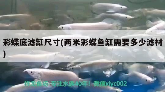 黃山市屯溪區愛湖鮮花店（黃山市屯溪區愛湖鮮花店地址）