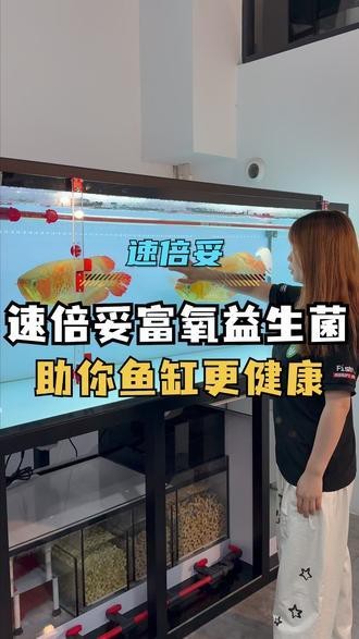 性價比高的雷龍魚飼料品牌