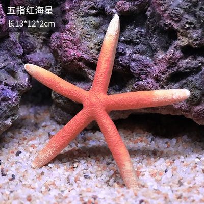 紅海魚(yú)缸怎么樣造景的呢（紅海魚(yú)缸如何造景）