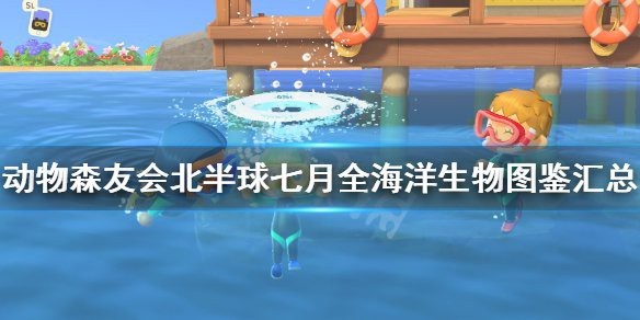 動(dòng)森鱟多少錢一只