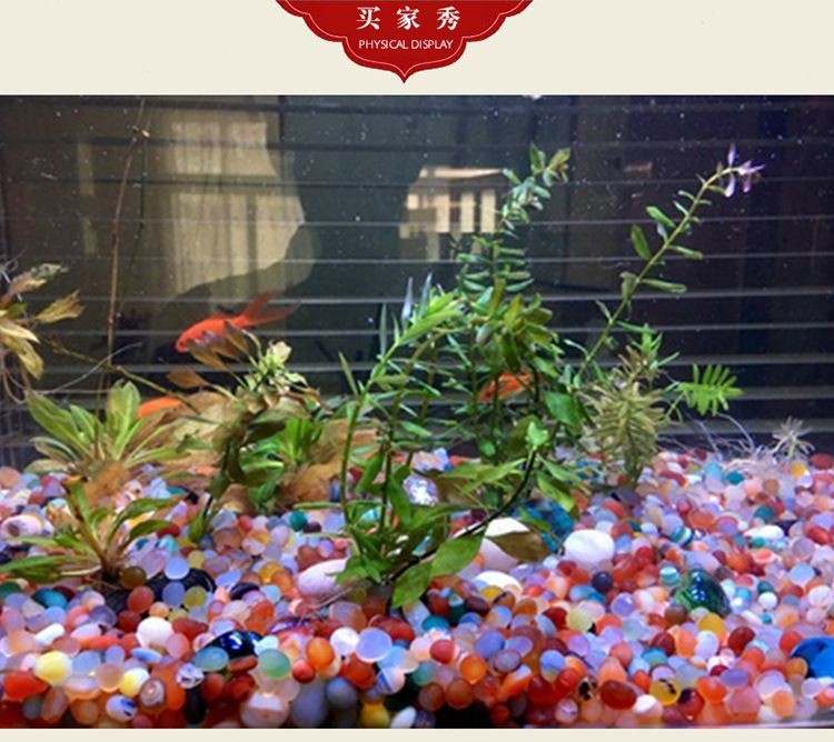 魚缸彩色石頭有毒嗎：魚缸中的彩色石頭是否對魚有毒 魚缸彩色石頭有毒嗎：魚缸中的彩色石頭是否對魚有毒 魚缸百科 第2張